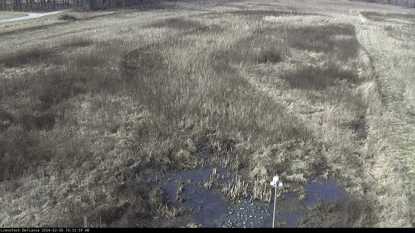 Cell 1_24-02-08_10-32-59-95