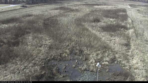 Cell 1_24-02-08_12-13-26-93