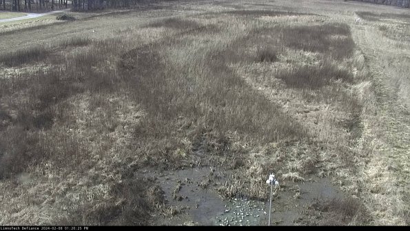 Cell 1_24-02-08_13-20-25-94