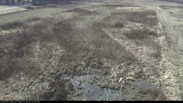 Cell 1_24-02-08_13-53-55-93