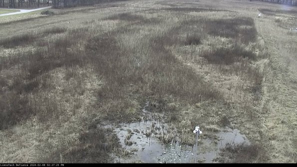 Cell 1_24-02-08_14-27-25-95