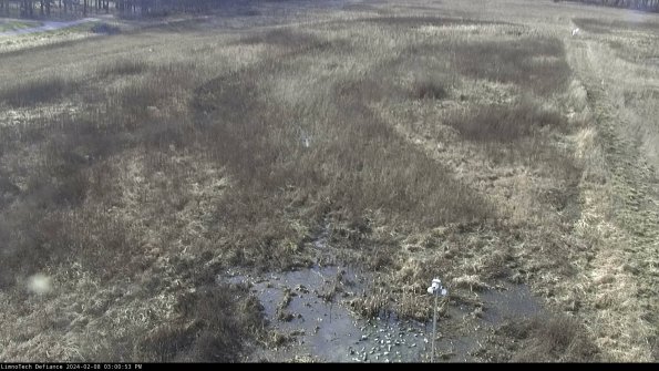 Cell 1_24-02-08_15-00-53-93