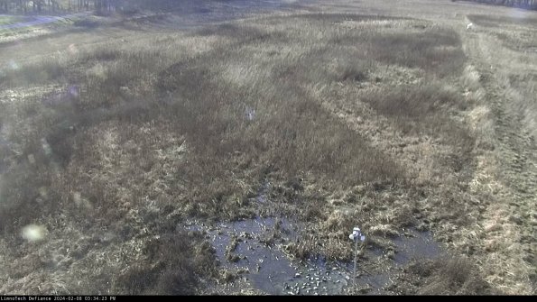 Cell 1_24-02-08_15-34-23-92