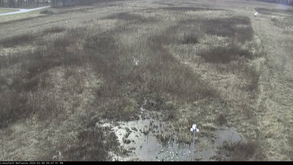 Cell 1_24-02-08_16-07-51-93