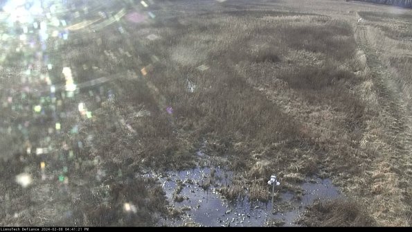 Cell 1_24-02-08_16-41-21-92