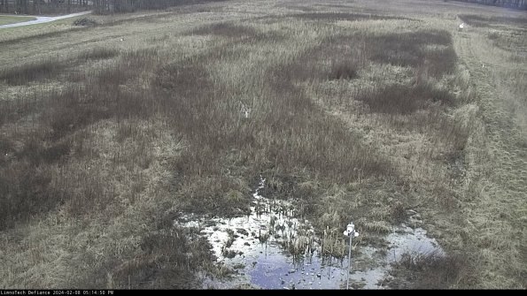 Cell 1_24-02-08_17-14-50-94