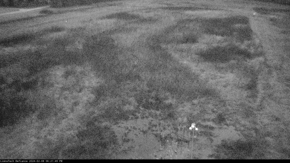 Cell 1_24-02-08_18-21-49-94