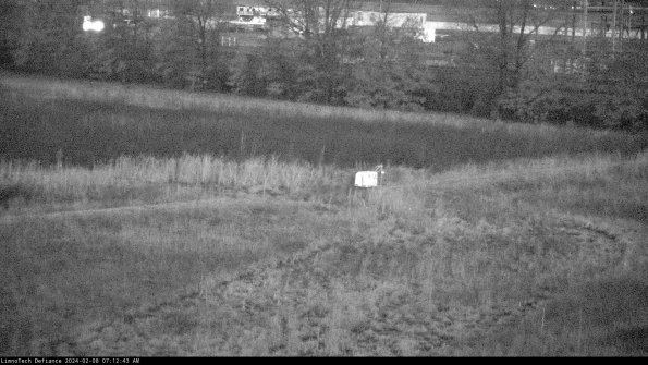 Cell 2 to 3_24-02-08_07-12-44-16