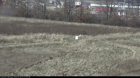 Cell 2 to 3_24-02-08_13-21-06-11