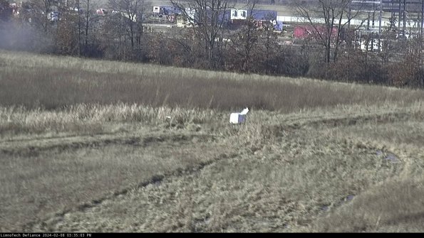 Cell 2 to 3_24-02-08_15-35-04-06