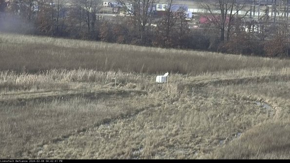 Cell 2 to 3_24-02-08_16-42-01-96