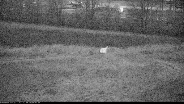 Cell 2 to 3_24-02-08_18-22-30-11