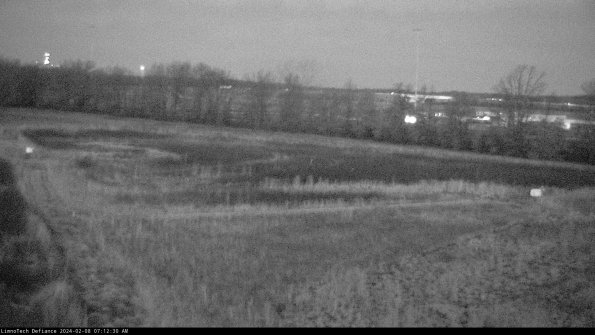 Cell 2_24-02-08_07-12-31-01