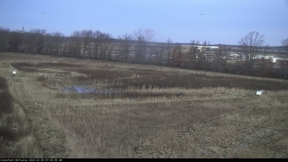 Cell 2_24-02-08_07-46-00-93