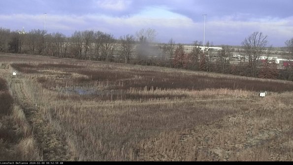 Cell 2_24-02-08_08-52-59-96