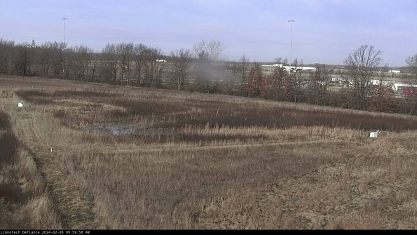 Cell 2_24-02-08_09-59-58-96