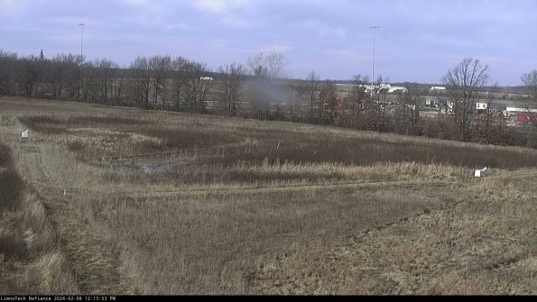 Cell 2_24-02-08_12-13-53-96