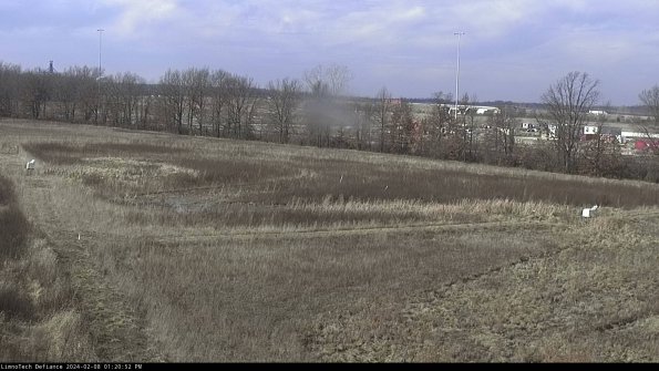 Cell 2_24-02-08_13-20-53-00