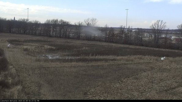 Cell 2_24-02-08_14-27-52-97