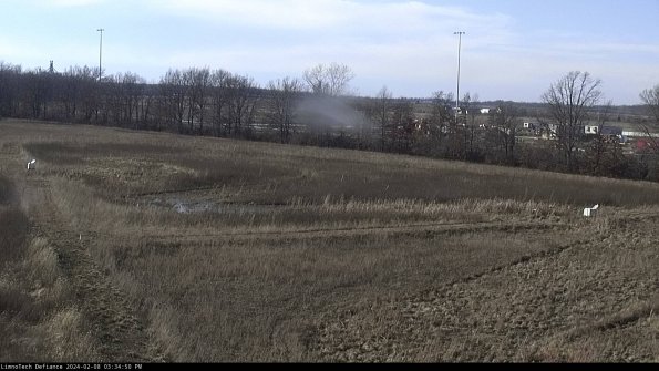 Cell 2_24-02-08_15-34-50-94