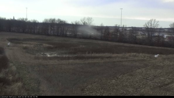 Cell 2_24-02-08_16-08-18-93