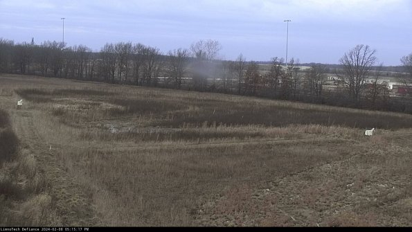 Cell 2_24-02-08_17-15-17-97