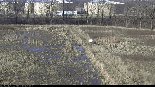 Cell 3 to 4_24-02-08_15-35-31-95