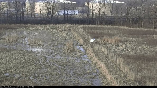 Cell 3 to 4_24-02-08_16-42-29-92