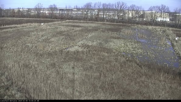 Cell 3_24-02-08_10-00-26-15