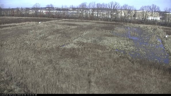 Cell 3_24-02-08_10-33-54-93