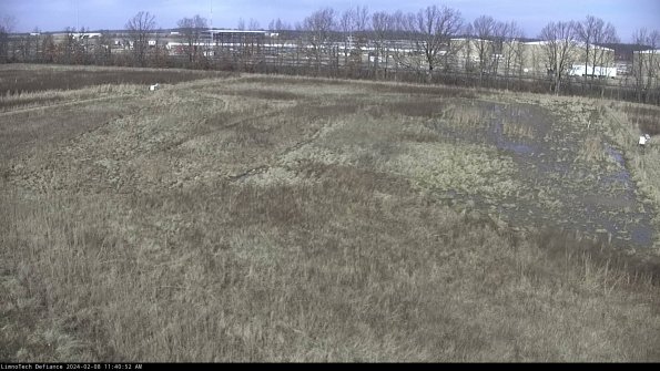 Cell 3_24-02-08_11-40-53-17