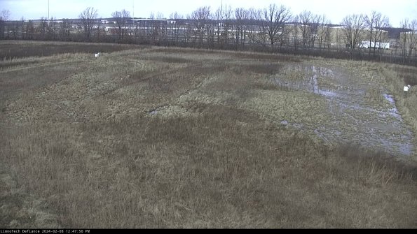 Cell 3_24-02-08_12-47-51-14