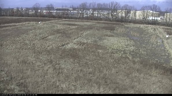 Cell 3_24-02-08_13-21-20-93