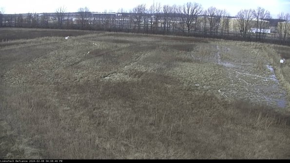 Cell 3_24-02-08_16-08-46-92