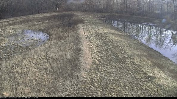 Cell 4 to Basin_24-02-08_08-54-25-94