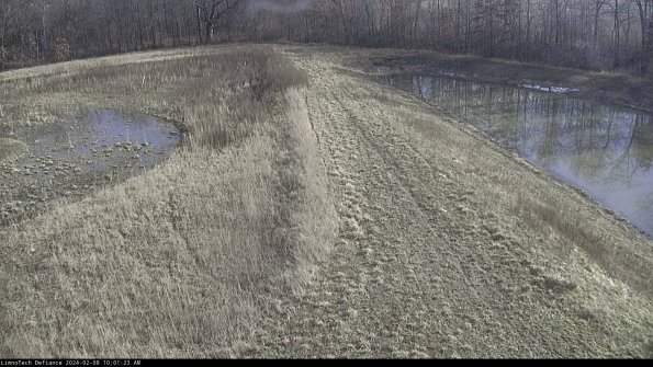 Cell 4 to Basin_24-02-08_10-01-23-94