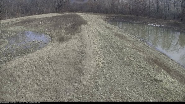 Cell 4 to Basin_24-02-08_11-41-50-93