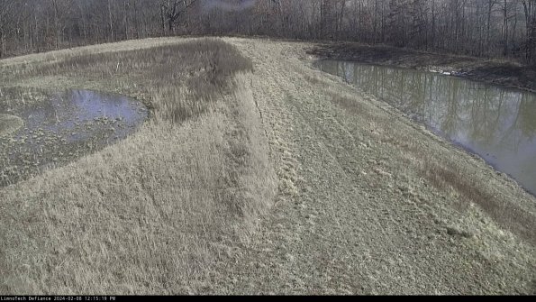 Cell 4 to Basin_24-02-08_12-15-19-95