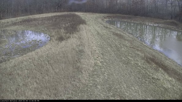 Cell 4 to Basin_24-02-08_12-48-48-93