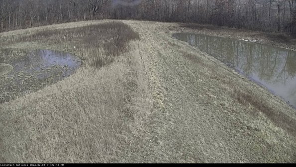 Cell 4 to Basin_24-02-08_13-22-18-92