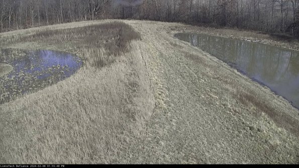 Cell 4 to Basin_24-02-08_13-55-48-94