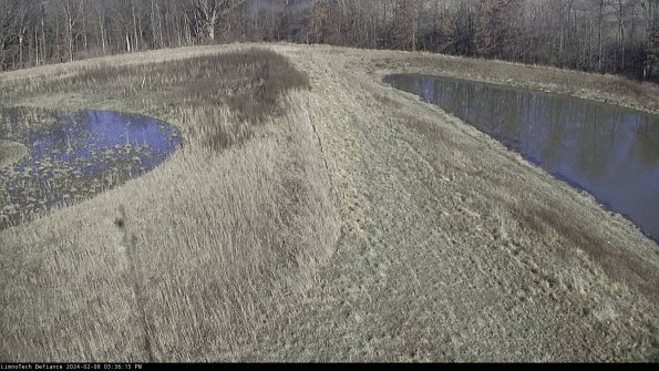 Cell 4 to Basin_24-02-08_15-36-15-93