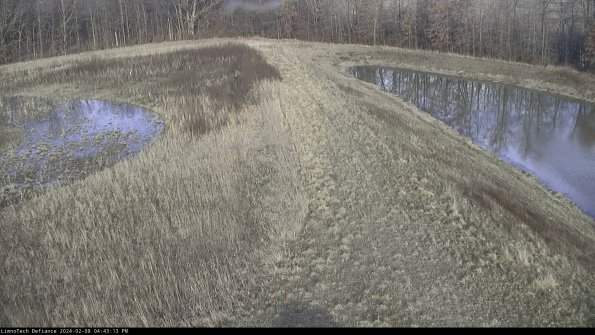 Cell 4 to Basin_24-02-08_16-43-13-93