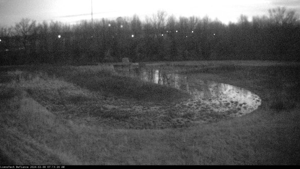 Cell 4_24-02-08_07-13-26-94