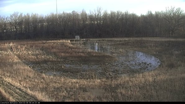 Cell 4_24-02-08_08-20-25-93