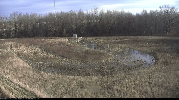 Cell 4_24-02-08_08-53-55-95