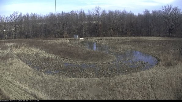 Cell 4_24-02-08_10-34-22-93