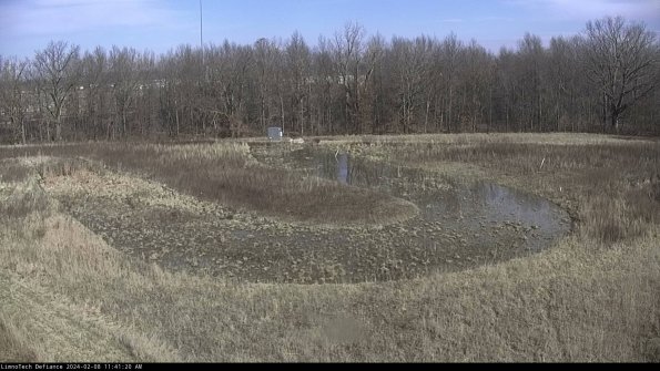 Cell 4_24-02-08_11-41-20-93