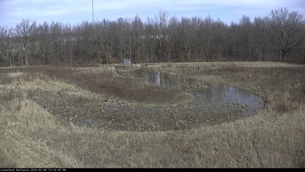 Cell 4_24-02-08_12-14-49-95