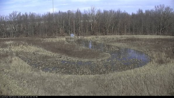 Cell 4_24-02-08_13-55-18-94